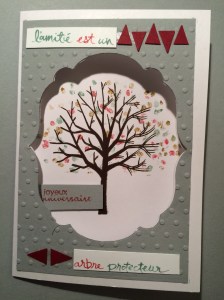 2015_carte_anniv_Aude