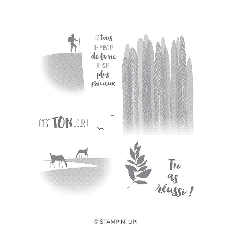 F6B4EE3D-5622-4712-9BDD-9533460B9A5E